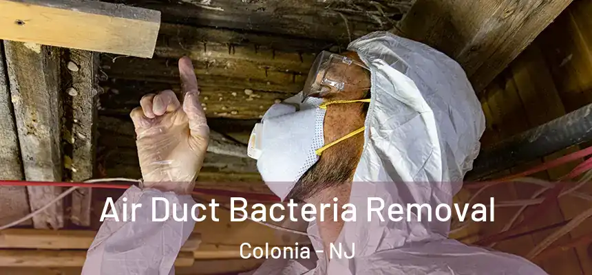 Air Duct Bacteria Removal Colonia - NJ