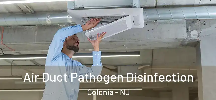 Air Duct Pathogen Disinfection Colonia - NJ