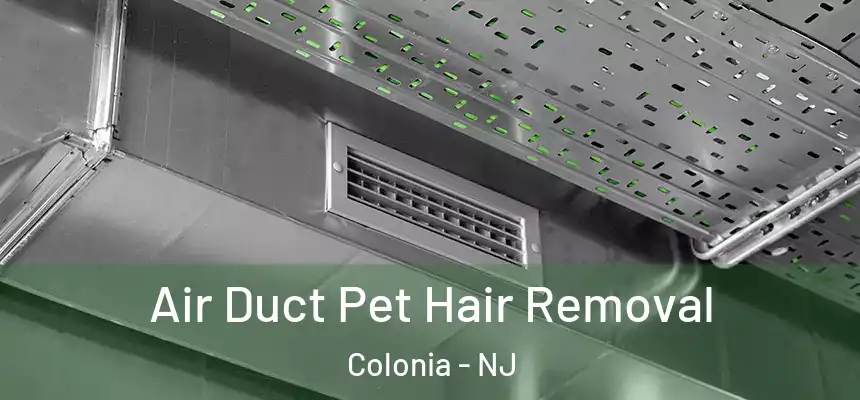  Air Duct Pet Hair Removal Colonia - NJ