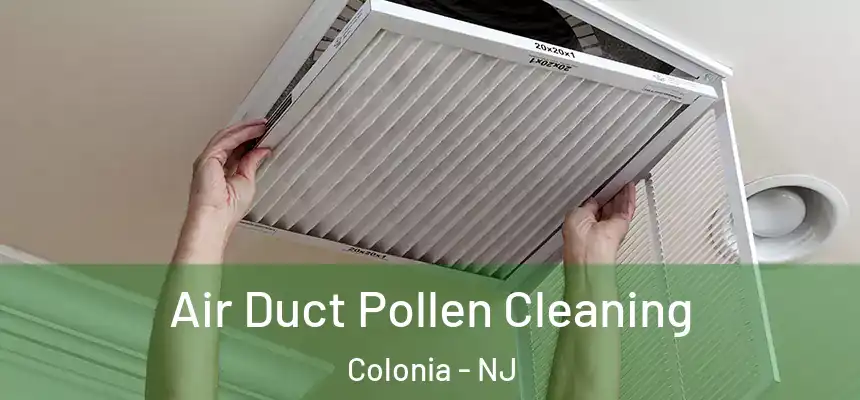 Air Duct Pollen Cleaning Colonia - NJ