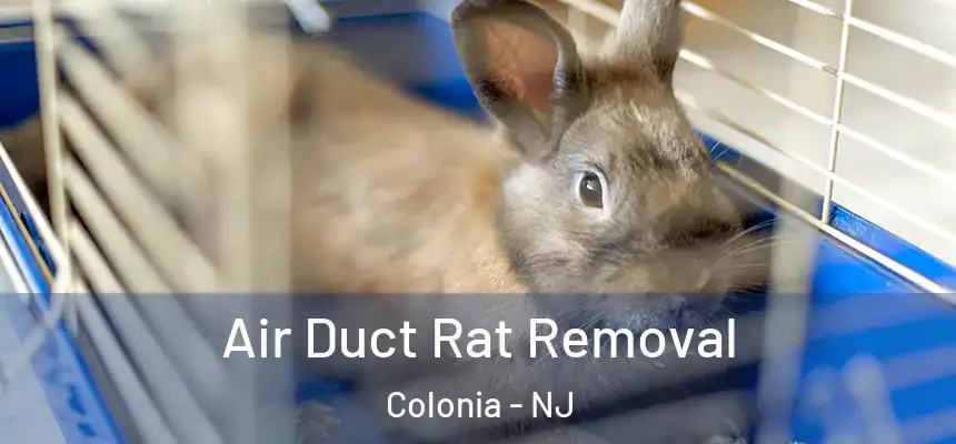 Air Duct Rat Removal Colonia - NJ