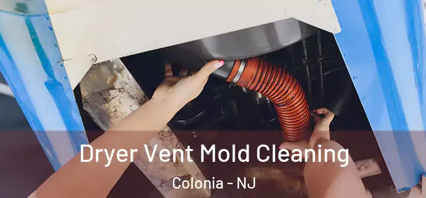Dryer Vent Mold Cleaning Colonia - NJ