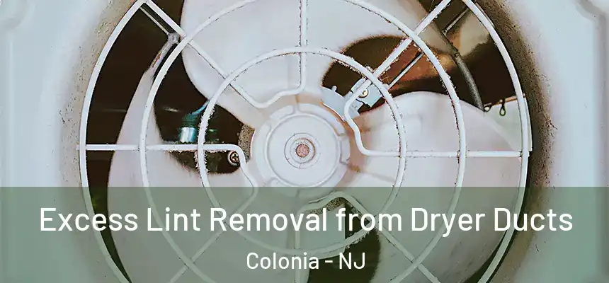 Excess Lint Removal from Dryer Ducts Colonia - NJ