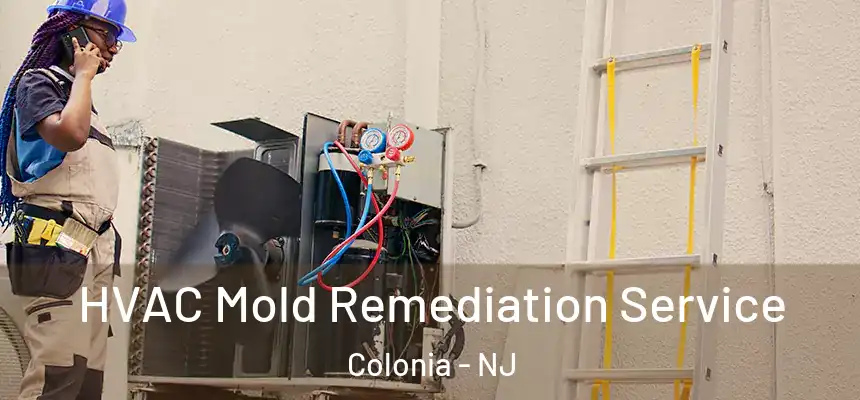  HVAC Mold Remediation Service Colonia - NJ