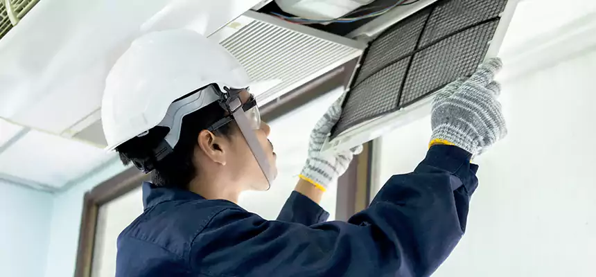 Our Mold & Mildew Removal from Air Ducts Services in Colonia, NJ