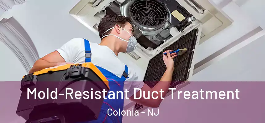  Mold-Resistant Duct Treatment Colonia - NJ