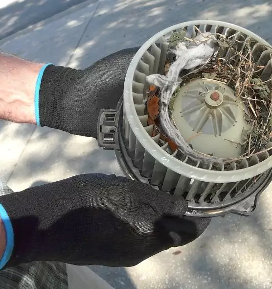 About Air Duct Rat Removal in Colonia, NJ