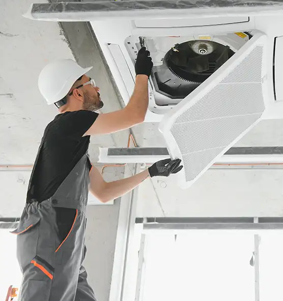 About Air Duct Rodent Removal in Colonia, NJ