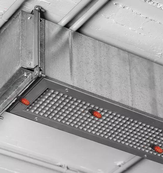 Affordable Insect Removal from Air Ducts in Colonia, NJ