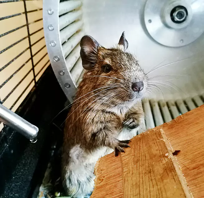 Why Homeowners & Businesses Trust Us Colonia, NJ