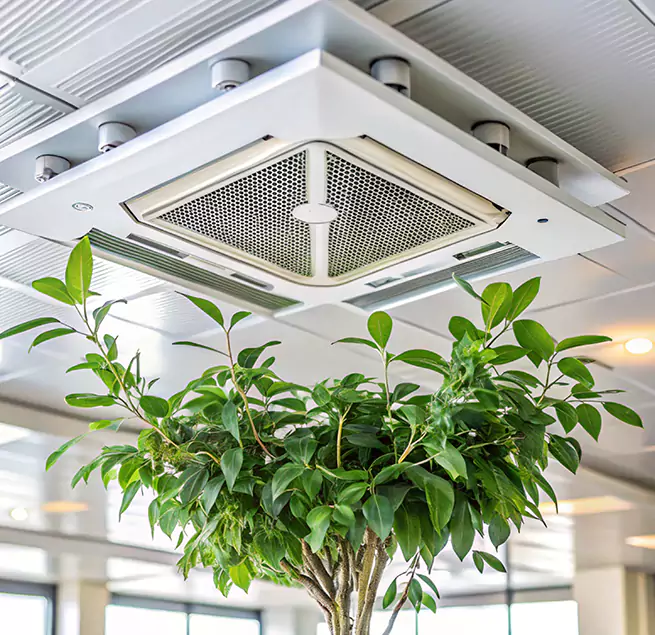 Why Homeowners & Businesses Trust Us in Colonia, NJ?