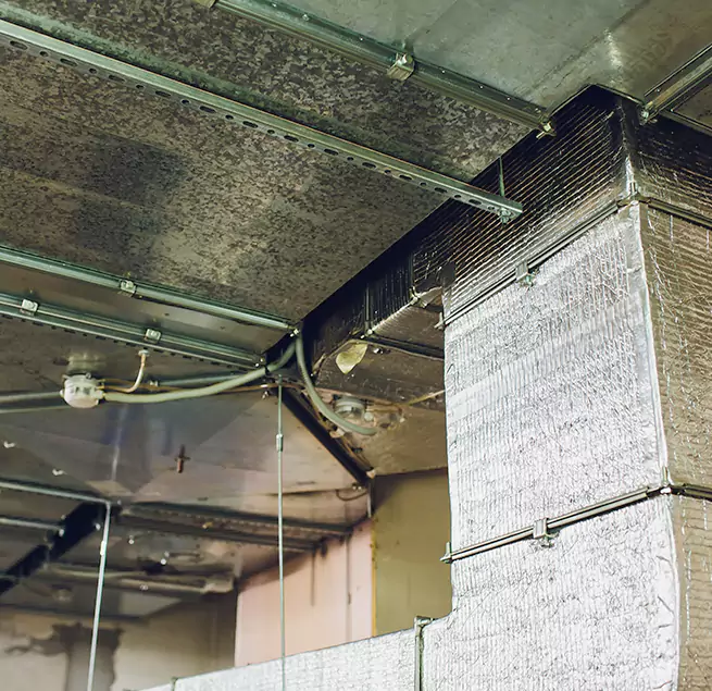 Why Homeowners & Businesses Trust Us in Colonia, NJ?